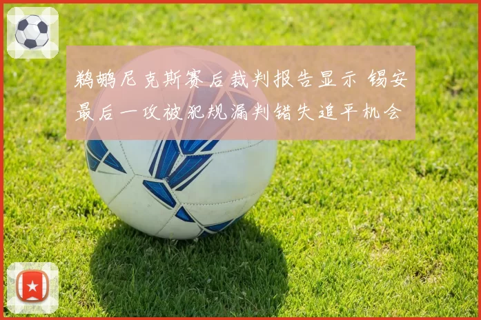鹈鹕尼克斯赛后裁判报告显示 锡安最后一攻被犯规漏判错失追平机会