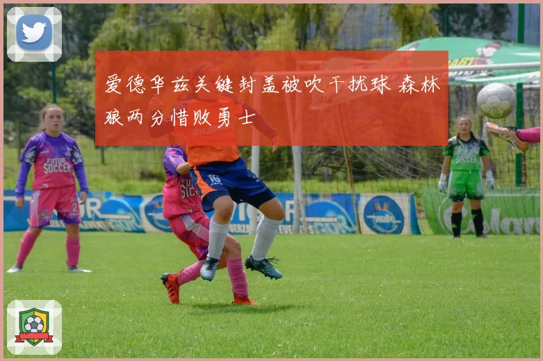 爱德华兹关键封盖被吹干扰球 森林狼两分惜败勇士