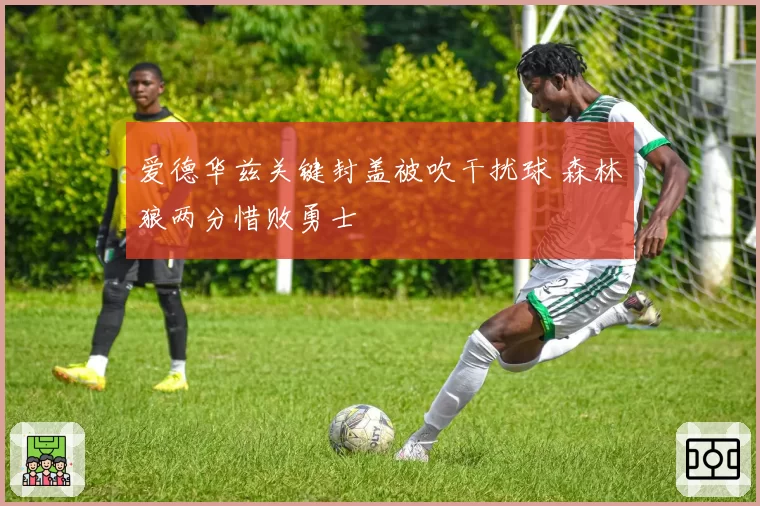 爱德华兹关键封盖被吹干扰球 森林狼两分惜败勇士