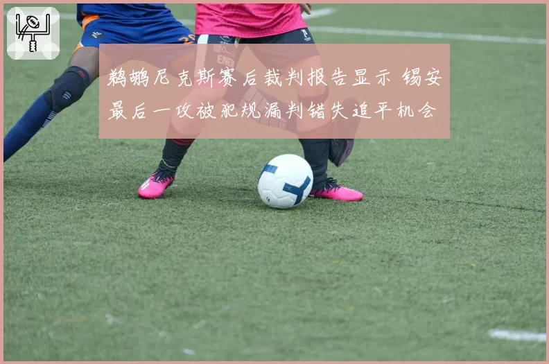 鹈鹕尼克斯赛后裁判报告显示 锡安最后一攻被犯规漏判错失追平机会