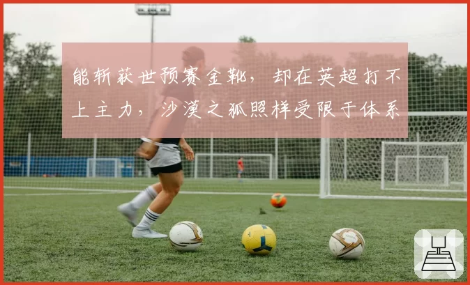 能斩获世预赛金靴,却在英超打不上主力,沙漠之狐照样受限于体系